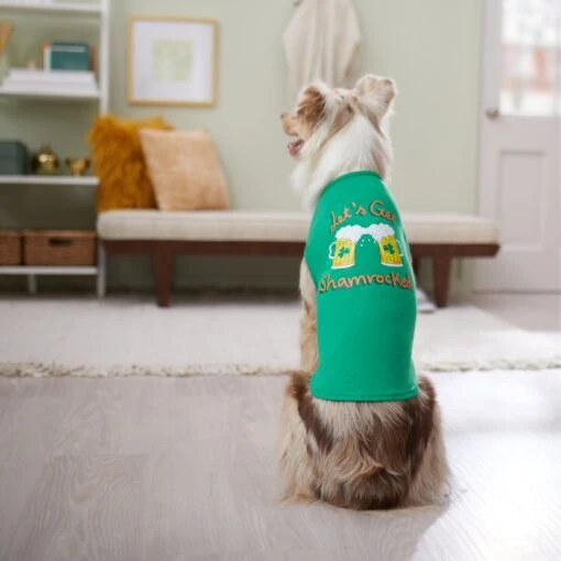 Frisco Let's Get Shamrocked Dog & Cat T-Shirt -Cat Supply Store 300184 PT8. AC SS1800 V1639597401