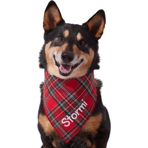 Frisco Tartan Plaid Embroidered Personalized Dog & Cat Bandana -Cat Supply Store 301157 PT6. AC SS1800 V1628536009