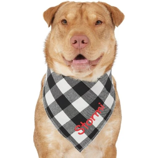 Frisco Buffalo Check Embroidered Personalized Dog & Cat Bandana -Cat Supply Store 301162 PT6. AC SS1800 V1628536015