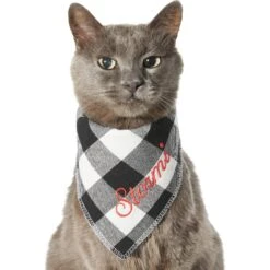 Frisco Buffalo Check Embroidered Personalized Dog & Cat Bandana -Cat Supply Store 301162 PT7. AC SS1800 V1628535983