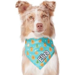 Frisco Gingerbread Cookie Personalized Dog & Cat Bandana -Cat Supply Store 301361 PT6. AC SS1800 V1628100109