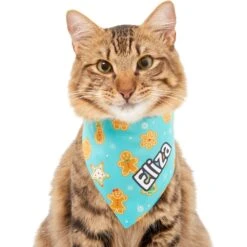 Frisco Gingerbread Cookie Personalized Dog & Cat Bandana -Cat Supply Store 301361 PT7. AC SS1800 V1628100087