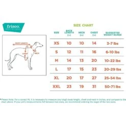 Frisco Happy Birthday Dog & Cat Crown & Frisco It's My Birthday & Cat T-Shirt -Cat Supply Store 302470 PT8. AC SS1800 V1623075757