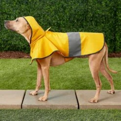 Frisco Lightweight Rainy Days Dog Raincoat & Frisco Lightweight Rubber Ducky Dog Raincoat -Cat Supply Store 302842 PT4. AC SS1800 V1623052647