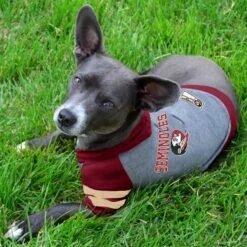 Pets First Sport Team Dog & Cat Hoodie T-Shirt -Cat Supply Store 305556 PT2. AC SS1800 V1632419479