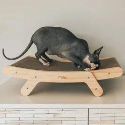 Mau Lifestyle Cardboard Cat Scratcher -Cat Supply Store 308909 PT2. AC SS1800 V1635202579