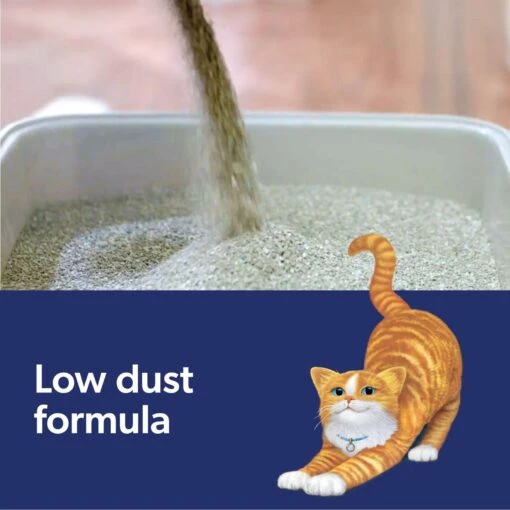 Fresh Step Outstretch Concentrated Unscented Clumping Clay Cat Litter, 19-lb Box -Cat Supply Store 308949 PT8. AC SS1800 V1694458886