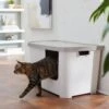 Frisco Multi-Function Covered Cat Litter Box, Jumbo -Cat Supply Store 309855 MAIN. AC SS1800 V1631817414