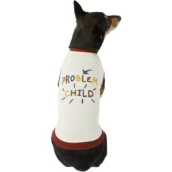 Frisco Problem Child Dog & Cat T-Shirt -Cat Supply Store 312064 PT3. AC SS1800 V1673303532