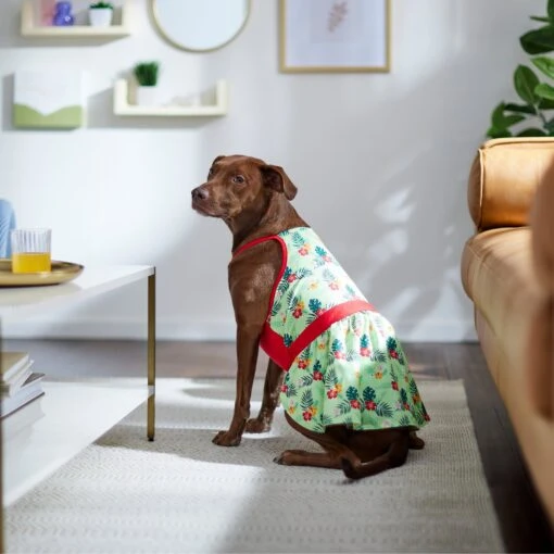 Frisco Hawaiian Floral Dog & Cat Dress -Cat Supply Store 312112 PT8. AC SS1800 V1644426265