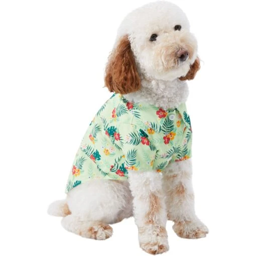 Frisco Hawaiian Floral Camp Dog & Cat Shirt -Cat Supply Store 312168 PT3. AC SS1800 V1673304452