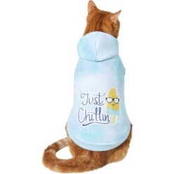 Frisco Just Chillin Dog & Cat Hoodie -Cat Supply Store 312233 PT2. AC SS1800 V1644879530