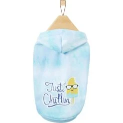 Frisco Just Chillin Dog & Cat Hoodie -Cat Supply Store 312233 PT3. AC SS1800 V1644879848