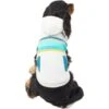 Frisco Striped Dog & Cat Hoodie -Cat Supply Store 312265 MAIN. AC SS1800 V1644880439