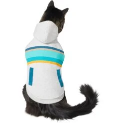 Frisco Striped Dog & Cat Hoodie -Cat Supply Store 312265 PT2. AC SS1800 V1644881185