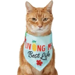 Frisco Living My Best Life Dog & Cat Bandana -Cat Supply Store 312288 PT2. AC SS1800 V1644884916