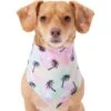 Frisco Palm Tree Dog & Cat Bandana -Cat Supply Store 312291 MAIN. AC SS1800 V1644885149