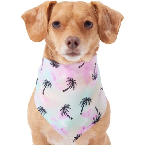 Frisco Palm Tree Dog & Cat Bandana -Cat Supply Store 312291 MAIN. AC SS1800 V1644885149