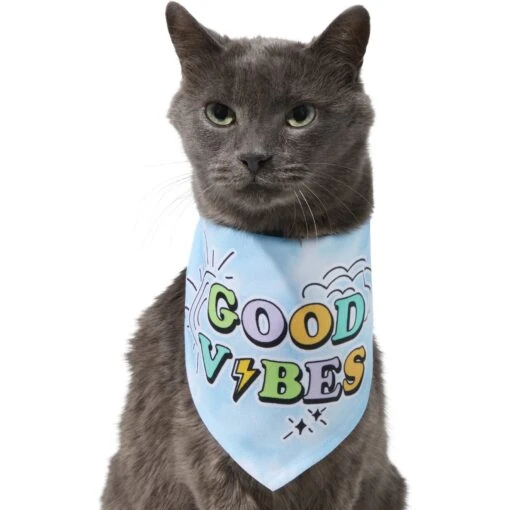 Frisco Good Vibes Dog & Cat Bandana -Cat Supply Store 312297 PT2. AC SS1800 V1644885749