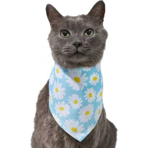 Frisco Daisy Dog & Cat Bandana -Cat Supply Store 312303 PT2. AC SS1800 V1644883588