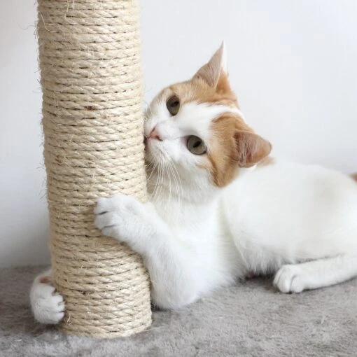 Pet Adobe 19.25-in Polyester Cat Scratching Post With Toys -Cat Supply Store 314975 PT4. AC SS1800 V1626390375