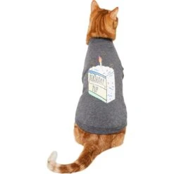 Frisco Birthday Pup Dog & Cat T-Shirt -Cat Supply Store 315076 PT2. AC SS1800 V1646432513