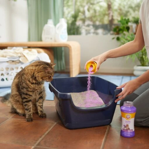 ARM & HAMMER PRODUCTS Calming Lavender & Vanilla Scent Cat Litter Box Deodorizing Crystals -Cat Supply Store 315802 PT4. AC SS1800 V1680789562