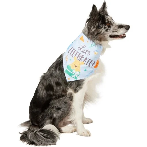 Disney Winnie The Pooh Birthday Dog & Cat Bandana -Cat Supply Store 316080 MAIN. AC SS1800 V1646176432