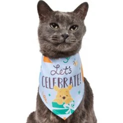 Disney Winnie The Pooh Birthday Dog & Cat Bandana -Cat Supply Store 316080 PT2. AC SS1800 V1646177034