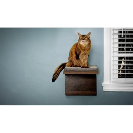 Litterbox.com Cat Shelf, 2 Count -Cat Supply Store 316910 PT2. AC SS1800 V1634088719