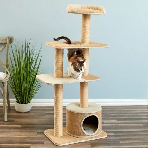 Two By Two The Cottonwood 51-in Cat Tree & Condo, Beige -Cat Supply Store 316954 PT4. AC SS1800 V1642644729