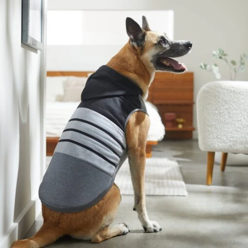 Frisco Gray Striped Dog & Cat Hoodie -Cat Supply Store 317305 PT8. AC SS1800 V1646437959