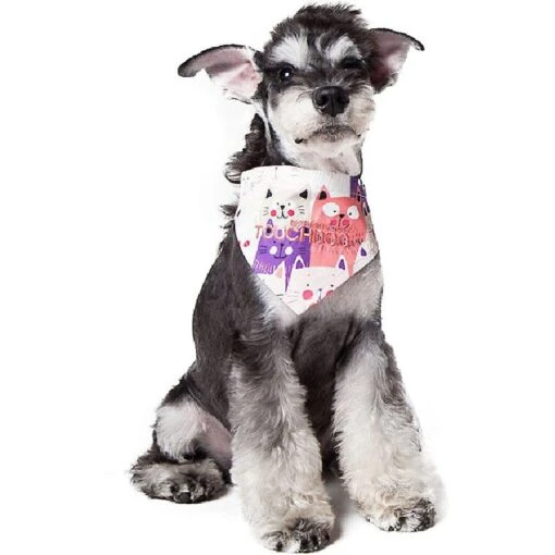 Touchdog Head-Popper Fashion Designer Printed Velcro Dog Bandana -Cat Supply Store 328360 PT1. AC SS1800 V1631311001