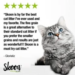 Skoon All Natural Fine-Grain Unscented Non-Clumping Cat Litter -Cat Supply Store 333931 PT6. AC SS1800 V1633464812