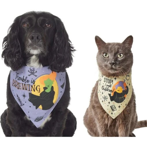 Disney Hocus Pocus Reversible Dog & Cat Bandana -Cat Supply Store 334706 MAIN. AC SS1800 V1689628895