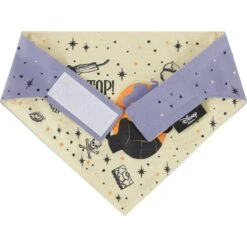 Disney Hocus Pocus Reversible Dog & Cat Bandana -Cat Supply Store 334706 PT6. AC SS1800 V1657656875