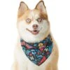 Pixar Coco Remember Me Dog & Cat Bandana -Cat Supply Store 335293 MAIN. AC SS1800 V1657656987