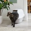 Frisco Modern Hooded Cat Litter Box -Cat Supply Store 341985 MAIN. AC SS1800 V1642605052