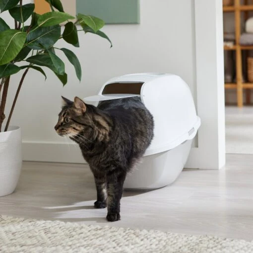 Frisco Modern Hooded Cat Litter Box -Cat Supply Store 341985 MAIN. AC SS1800 V1642605052