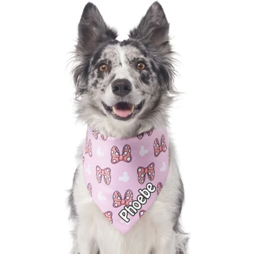 Disney Minnie Mouse Bows Personalized Dog & Cat Bandana -Cat Supply Store 346378 PT3. AC SS1800 V1671228157