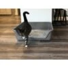 Shirley K's Senior Cat Litter Box, X-Large -Cat Supply Store 347408 MAIN. AC SS1800 V1642013797