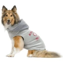 Littlearth NCAA Dog & Cat Hooded Crewneck Sweater -Cat Supply Store 350080 PT2. AC SS1800 V1641428833