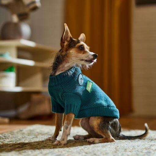 Frisco Teal Button Down Dog & Cat Sweater -Cat Supply Store 353580 PT7. AC SS1800 V1660749932