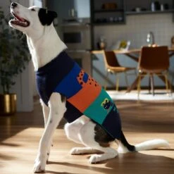 Frisco Anaconda Cheetah Colorblock Dog & Cat Sweater -Cat Supply Store 353596 PT7. AC SS1800 V1660749560