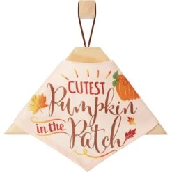 Frisco Cutest Pumpkin In The Patch Dog & Cat Bandana -Cat Supply Store 353777 PT4. AC SS1800 V1663343389