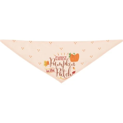 Frisco Cutest Pumpkin In The Patch Dog & Cat Bandana -Cat Supply Store 353777 PT5. AC SS1800 V1659725687