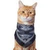 Frisco Southwest Fringe Dog & Cat Bandana -Cat Supply Store 353783 MAIN. AC SS1800 V1659010876