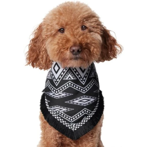 Frisco Southwest Fringe Dog & Cat Bandana -Cat Supply Store 353783 PT2. AC SS1800 V1659007315