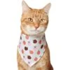 Frisco Apple Dog & Cat Bandana -Cat Supply Store 353786 MAIN. AC SS1800 V1659011013