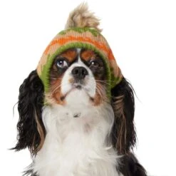 Frisco Striped Poof Dog & Cat Knitted Hat -Cat Supply Store 353793 PT2. AC SS1800 V1659008241